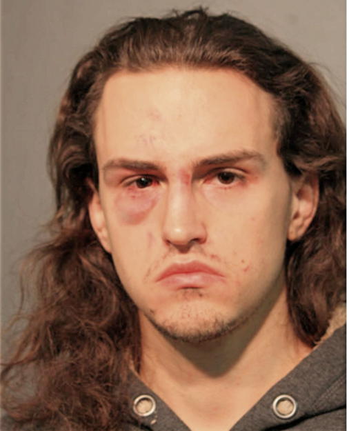 NIKOLA STOJNIC, Cook County, Illinois