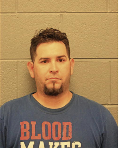 LUIS G TORRES, Cook County, Illinois