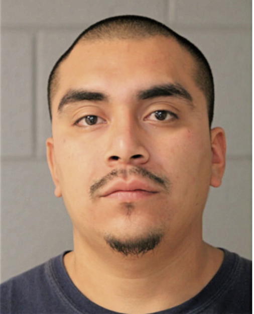ALFREDO M TRUJILLO, Cook County, Illinois