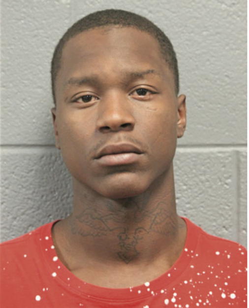 DADISI D WILLIAMS, Cook County, Illinois