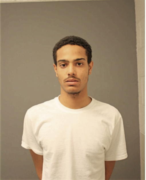 MICHAEL WILLIAMS, Cook County, Illinois