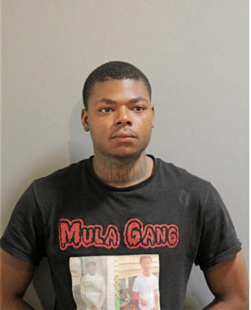 SYLVESTER D WILLIAMS, Cook County, Illinois