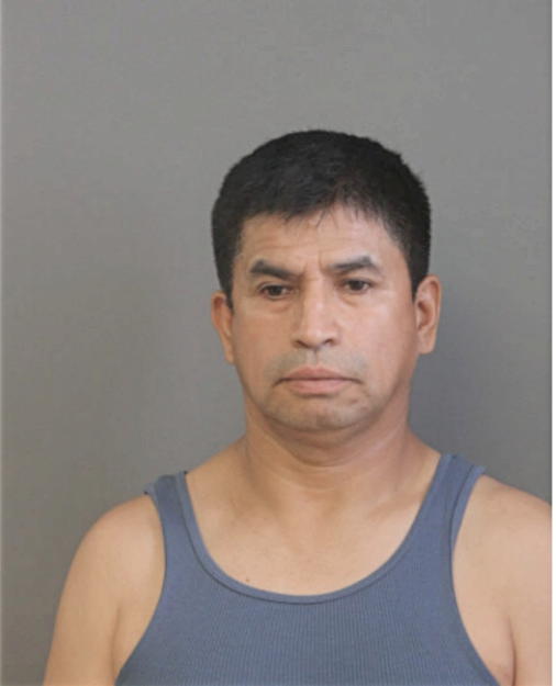 JOSE E ARCENTALES, Cook County, Illinois