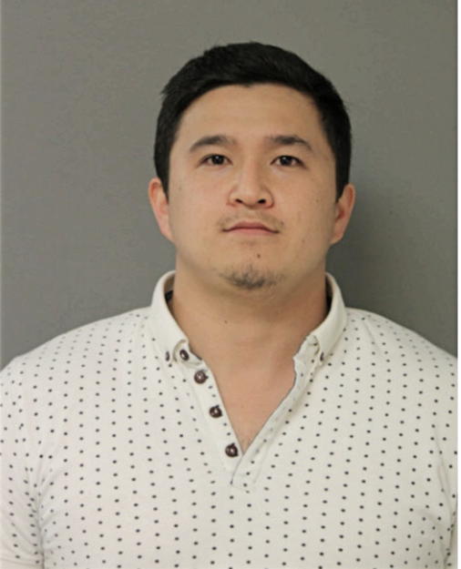 NURBEK BIBOSUNOV, Cook County, Illinois