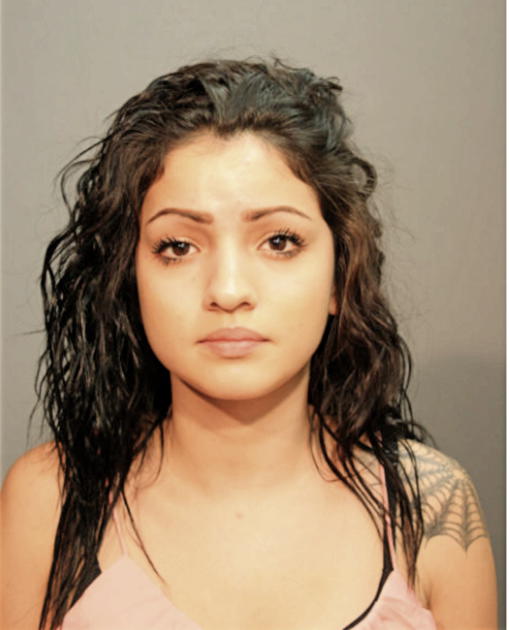 ITHZEL BOLANOS, Cook County, Illinois
