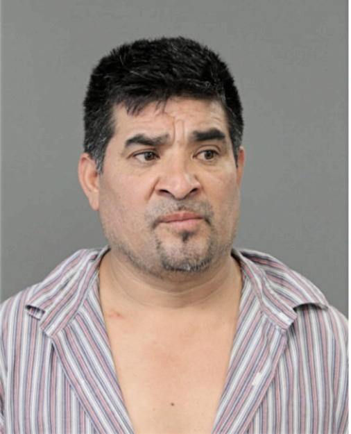 DOMINGO BOLLAS, Cook County, Illinois