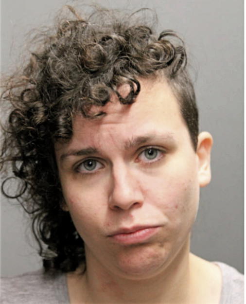 CAITLIN E BOUDREAU, Cook County, Illinois