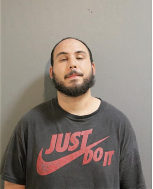 DAVID A BROWN, Cook County, Illinois