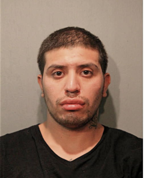 MOISES CERDA, Cook County, Illinois