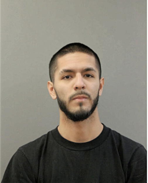 EDWARD J CORONEL, Cook County, Illinois