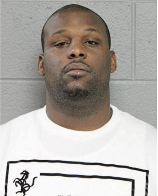 BLAKE M ELLIS, Cook County, Illinois