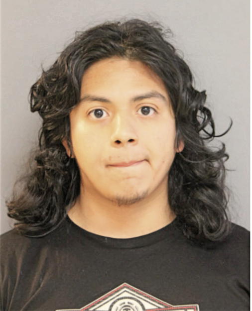 JACOB HOSEA FLORES, Cook County, Illinois