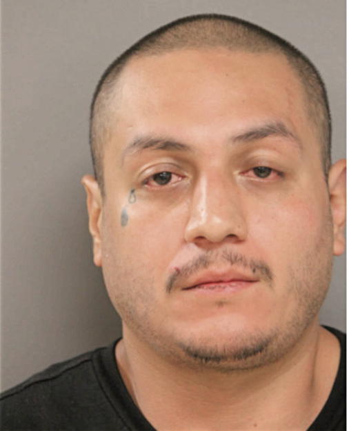 ANTHONY HERNANDEZ, Cook County, Illinois
