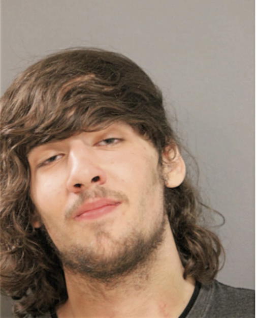IAN J JOHNSON, Cook County, Illinois