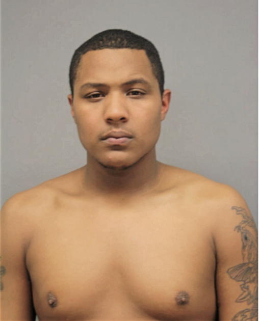 GLENFORD D LAMB, Cook County, Illinois