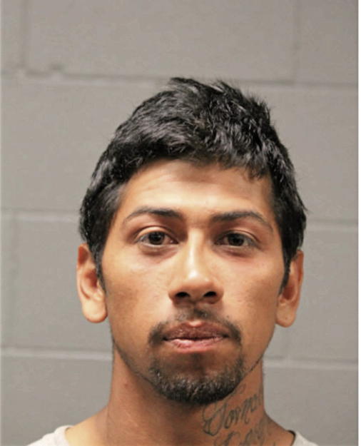 ALBERTO MARTINEZ, Cook County, Illinois