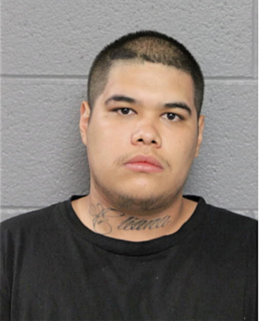 LUIS C MOLINA, Cook County, Illinois
