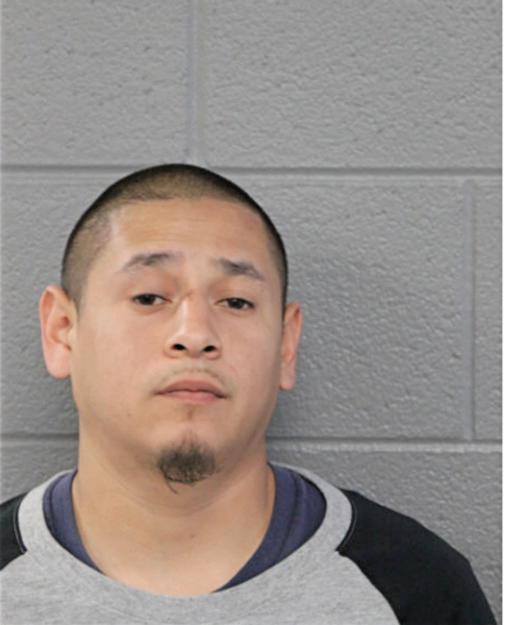 JUAN J PALMA, Cook County, Illinois