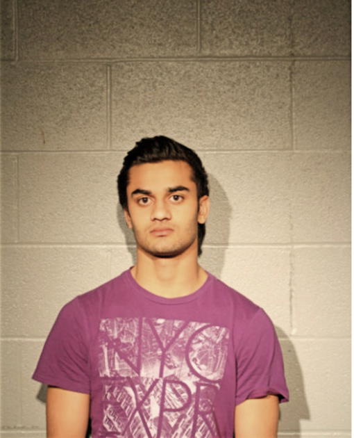 DEVANG M PATEL, Cook County, Illinois