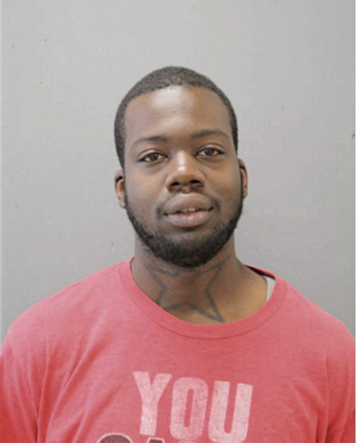 PARISH L RAYFORD, Cook County, Illinois