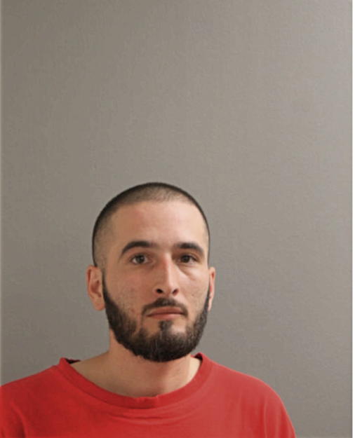 ALEX J RODRIGUEZ, Cook County, Illinois