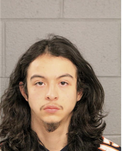 JESUS VALDEZ, Cook County, Illinois