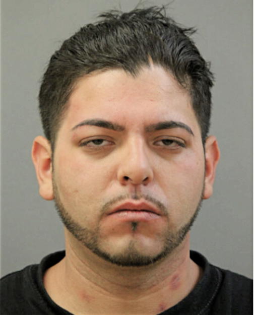 JOSE L VEGA, Cook County, Illinois