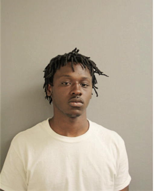 ANDRE T VORTES, Cook County, Illinois
