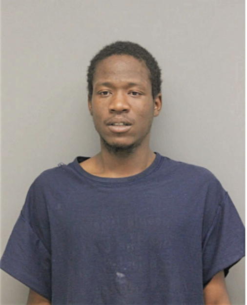 LARRY C WHITE, Cook County, Illinois
