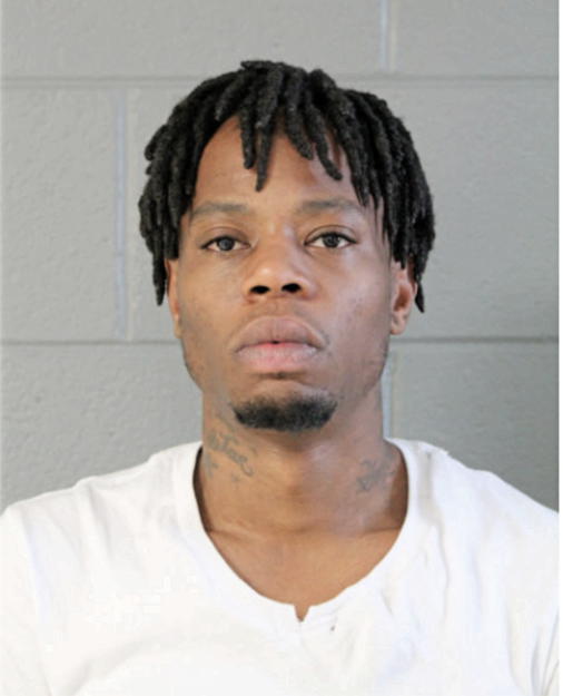 MICHAEL A WILLIAMS, Cook County, Illinois