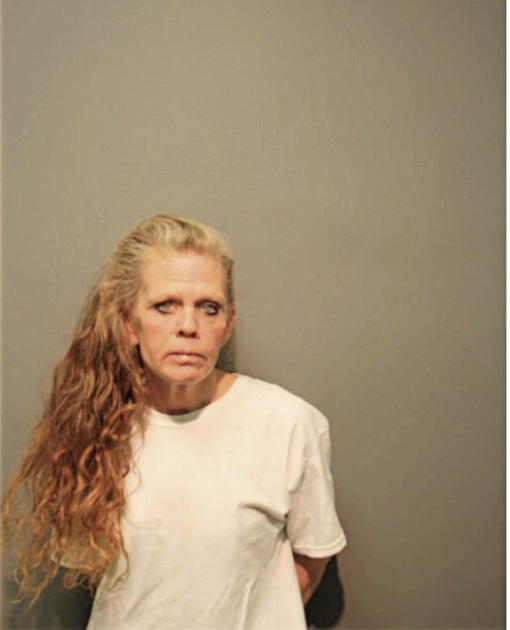 TAMMY L YOUNG, Cook County, Illinois