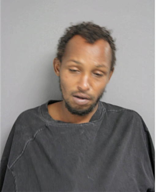 SAID ABDI, Cook County, Illinois