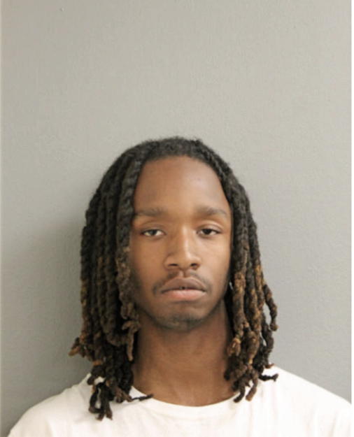 COREY L ANDERSON, Cook County, Illinois