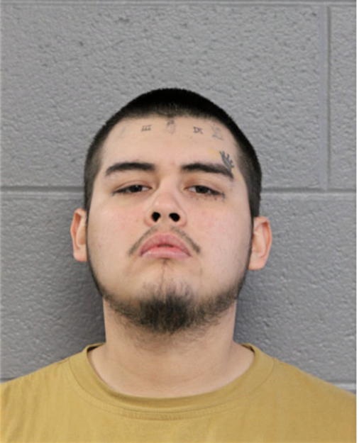 CHRISTIAN ANDRES ARREDONDO, Cook County, Illinois