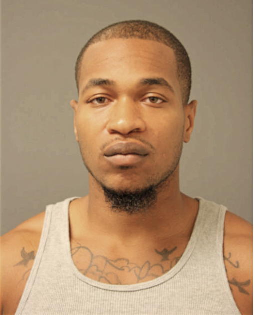 MATTHEW L BARNES, Cook County, Illinois