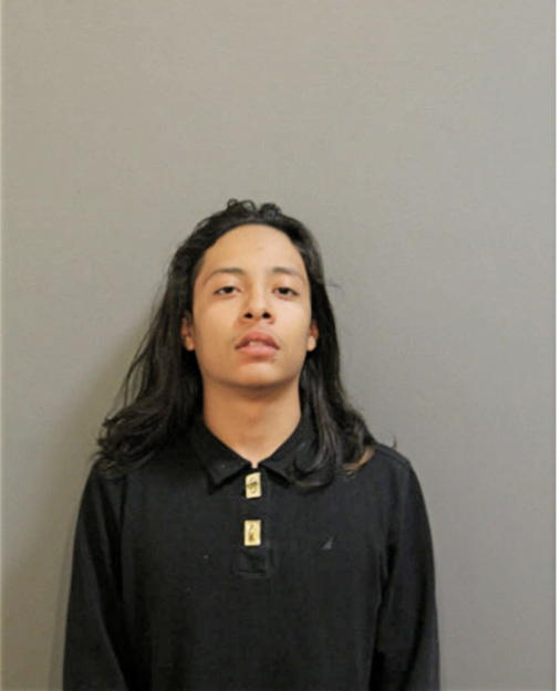 RICARDO ANTONIO CISNEROS, Cook County, Illinois