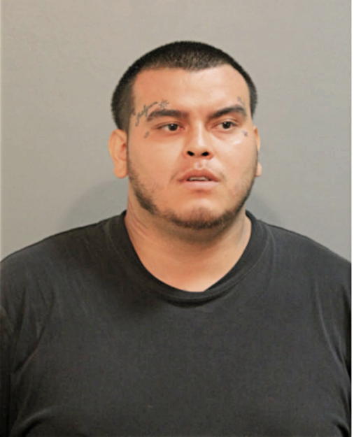 NIKO I DELGADO, Cook County, Illinois