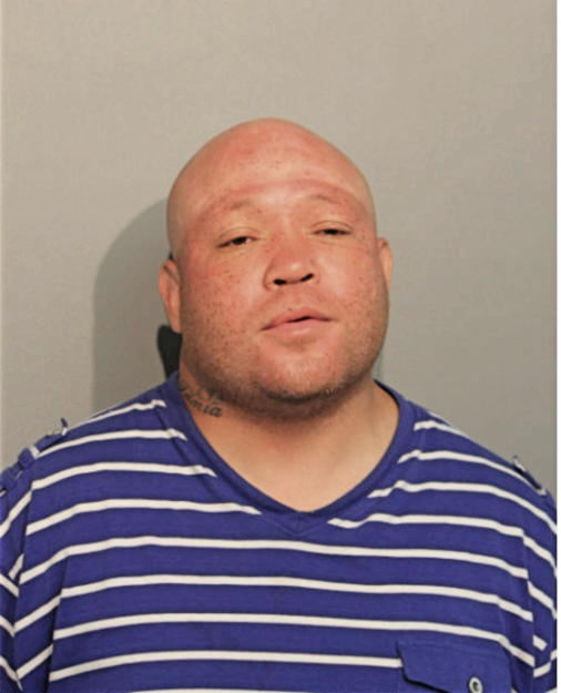 BRIAN DYSON, Cook County, Illinois