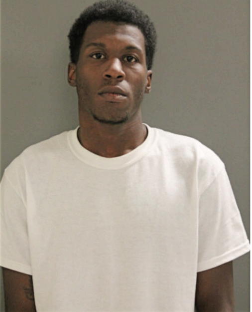 BRIAN J FRIESON, Cook County, Illinois