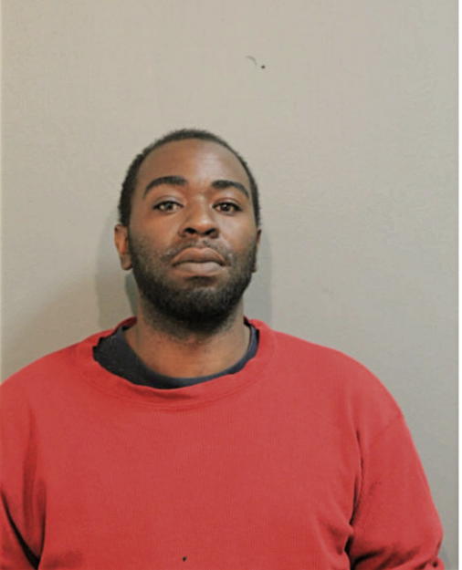 ELLIOTT G GAINES, Cook County, Illinois