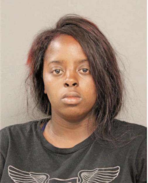 CHERYL L GREYER, Cook County, Illinois