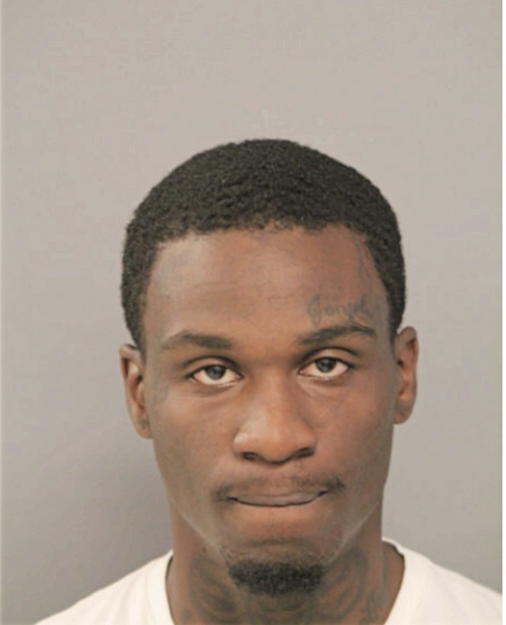 JOSHUA S HUNT, Cook County, Illinois