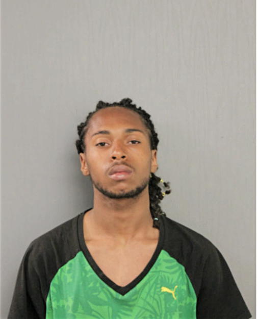 ANDREW R MCGHEE, Cook County, Illinois