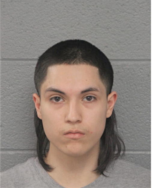 FABIAN MENDOZA, Cook County, Illinois