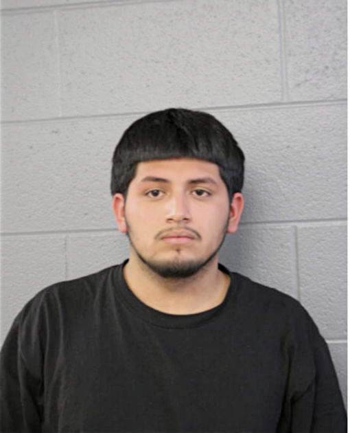 JUAN J MORA, Cook County, Illinois