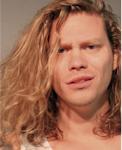 THOMAS S OBIDOWICZ, Cook County, Illinois