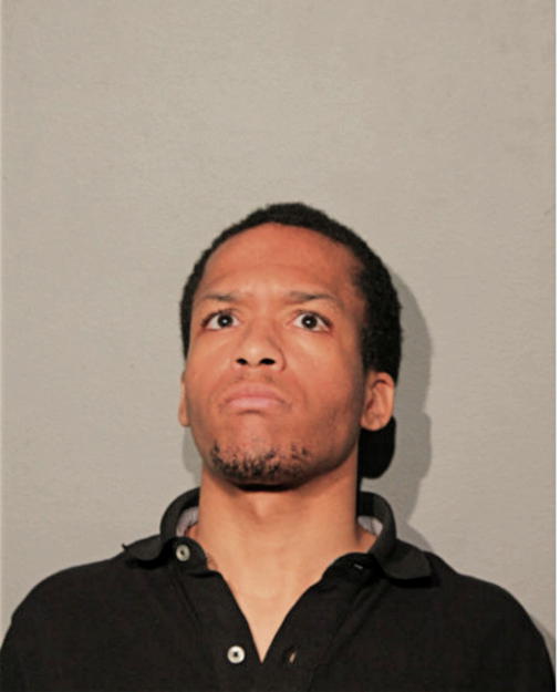 BRIAN V SEARLES, Cook County, Illinois