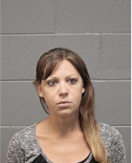 NICOLE E WELTER, Cook County, Illinois