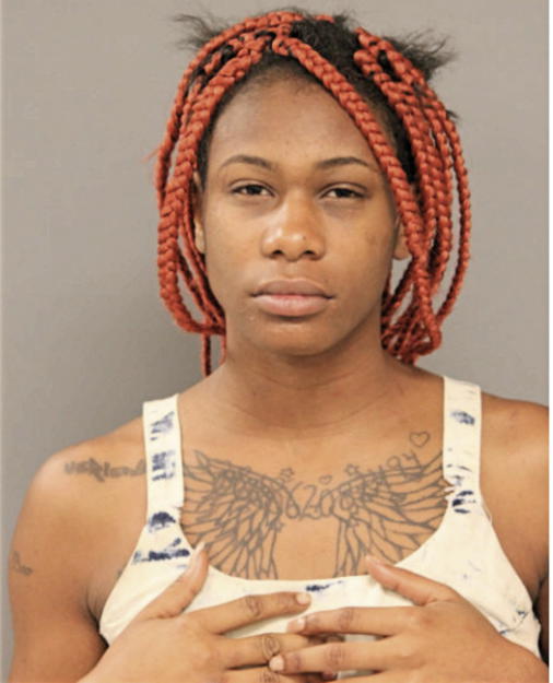 TAMEIKA C WILDER, Cook County, Illinois