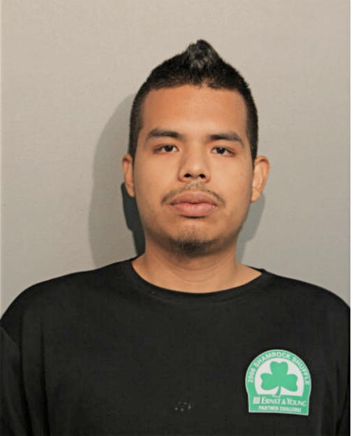 MIGUEL A ARCE, Cook County, Illinois